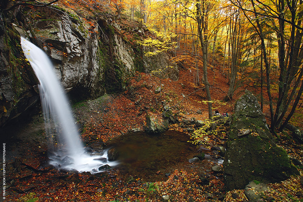 pegasus_LARGE_t_242261_54192039